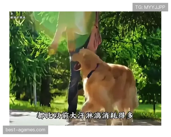 蒋圣龙家的狗都比你自律